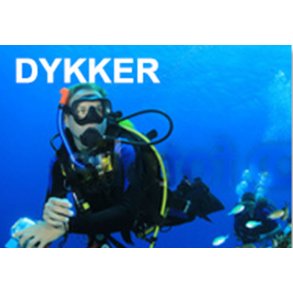 Prvedyk med erfaren instruktr