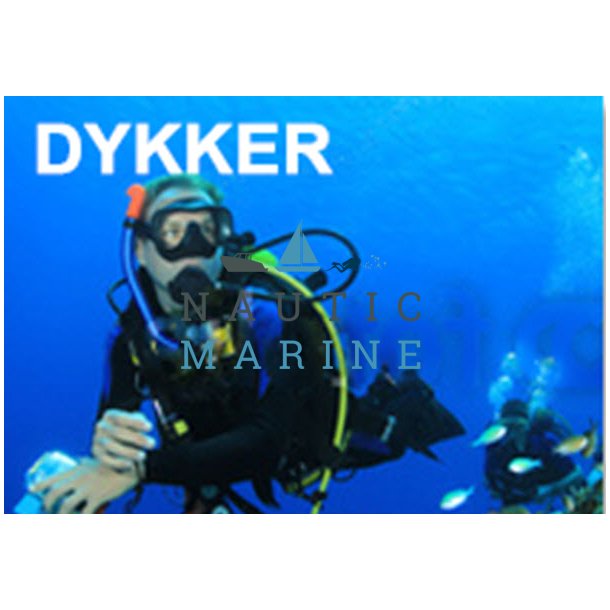 Prvedyk med erfaren instruktr