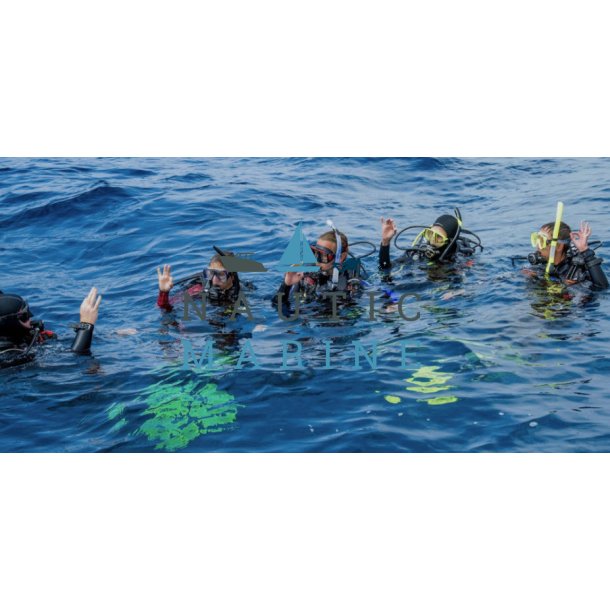 Divemaster