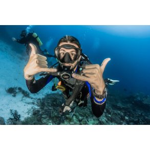 Vr dykker for en dag 